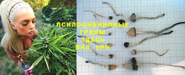трава Алексеевка