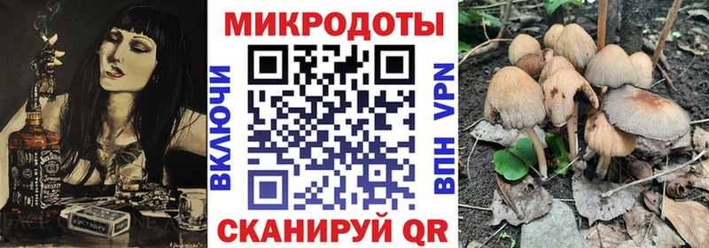 Галлюциногенные грибы Psilocybine cubensis  Нижние Серги 